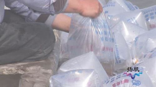 扬州市春季渔业生产全面展开，渔业专家线上答疑解惑助力饲料与水产养殖高质量发展