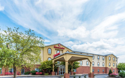 植物液除臭剂在畜牧渔业饲料领域的应用与包装储存指南