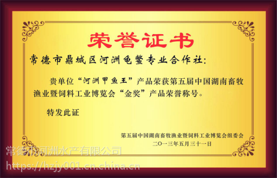野生与养殖甲鱼市场浅析 从洞庭湖鳖苗到餐桌的价格链条